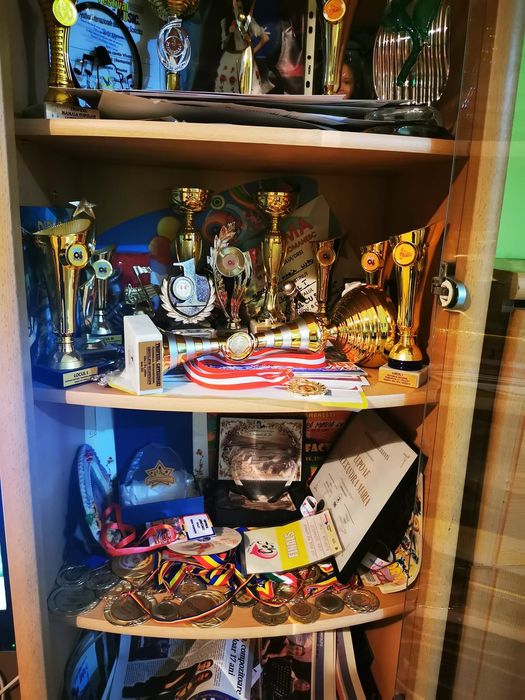 Cursuri Pian/Canto/Admitere Liceu, Conservator/Productie - Bucuresti