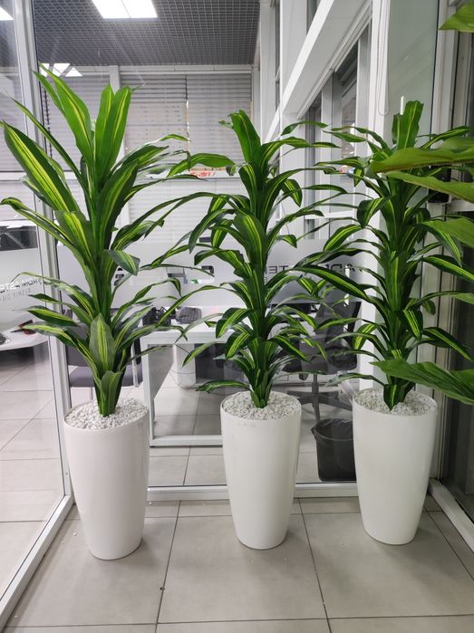 Искусственный цветы драсена