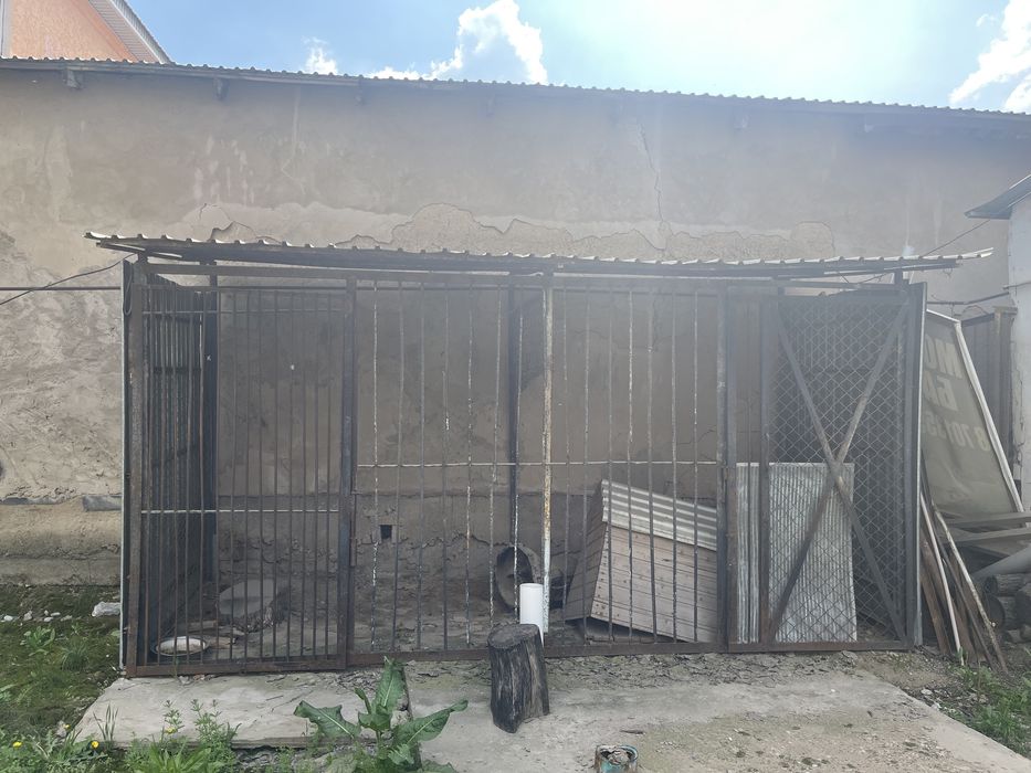 Вальер железная.