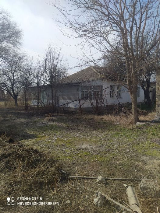 Уй сотилади сирдарёо бахт