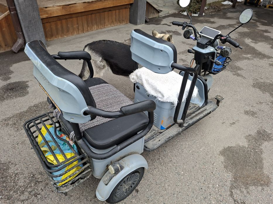 Leopard трицикл. На аккумуляторе.