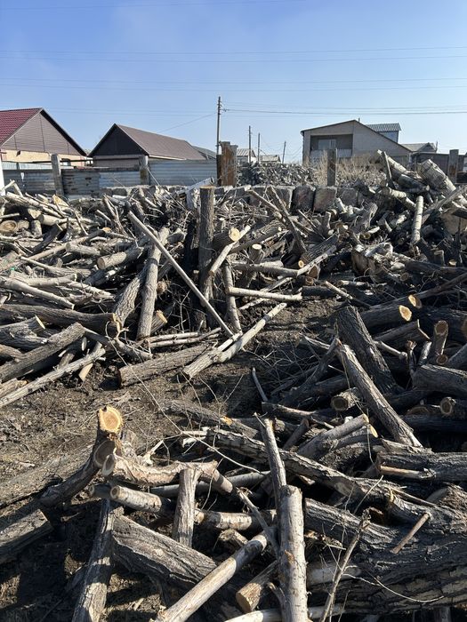 Продам дерево доставка бесплатно