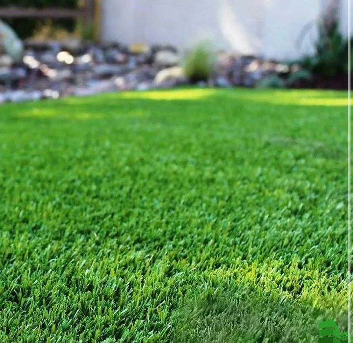 Посевной рулонный газон