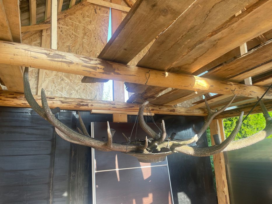 Candelabru din coarne de cerb