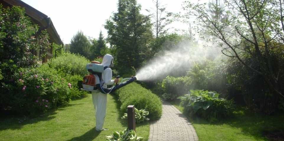 Потолок дәрілеу жұмыстары