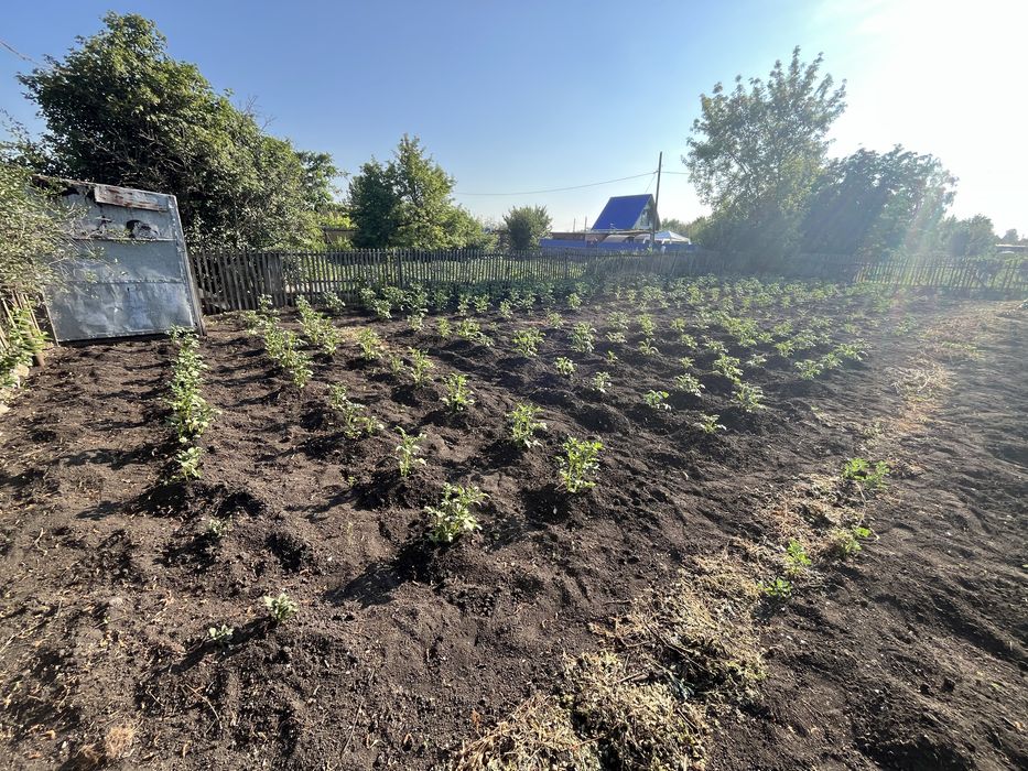 Продам дачу с/о ромашка 4,7 соток