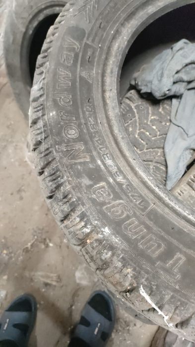 Зимние шины для короллы