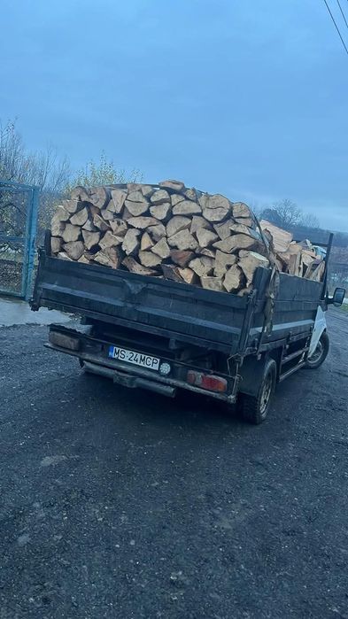 Vând lemne de foc esență tara