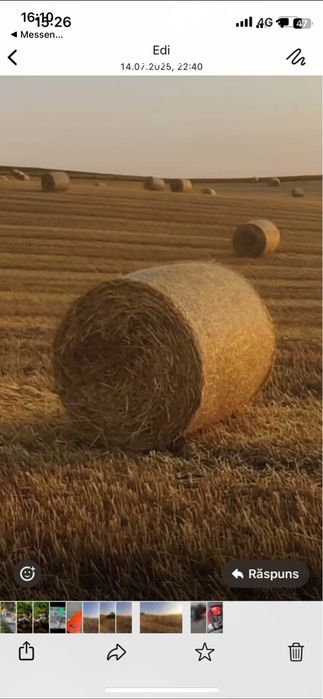 Vand baloti de paie grau