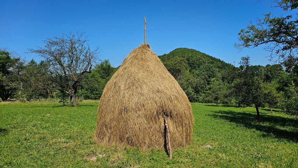 Vand fan, din șopru și 5 clăi.