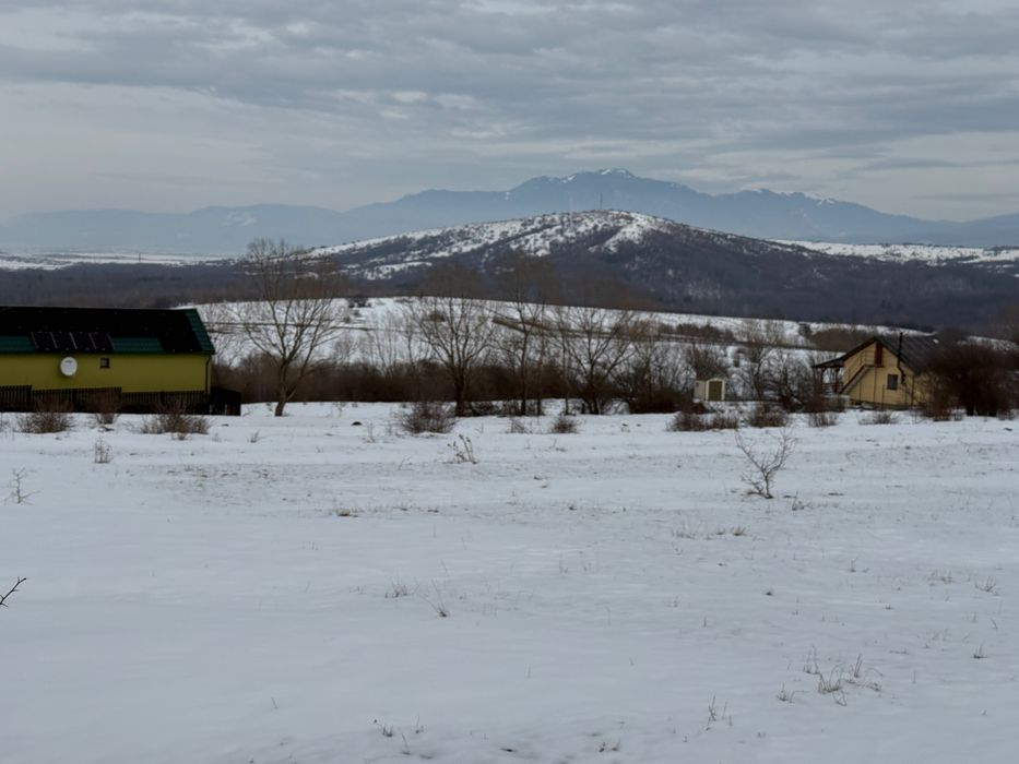 Vand teren intravilan zarnesti