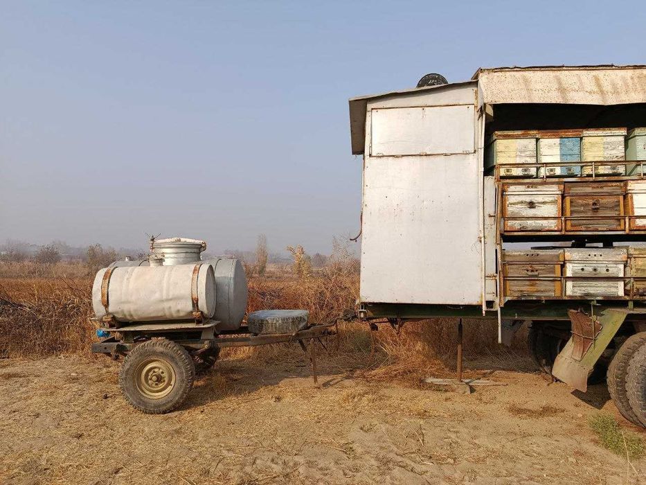 Продаётся ПАСЕКА