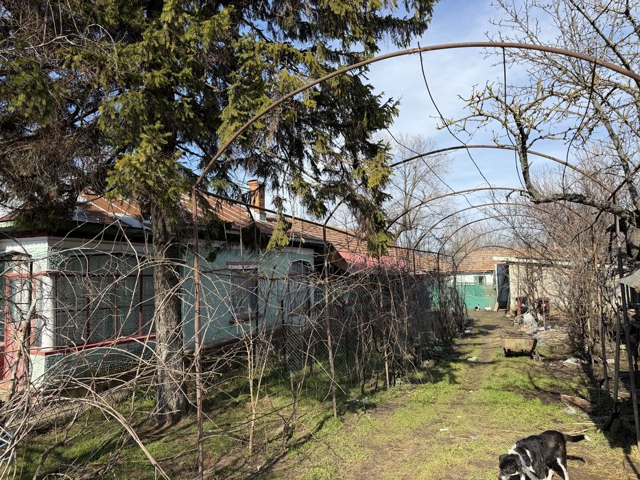 Vand casa in Viisoara Teleorman