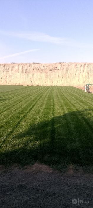 Газон ланшафни дизайн самарканд