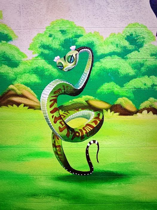 Devoriy suratlar