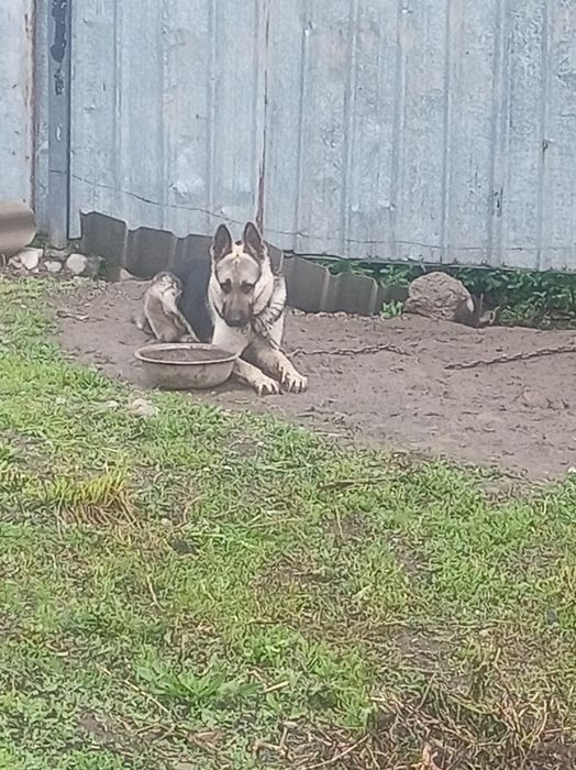 Продам Продам Продам