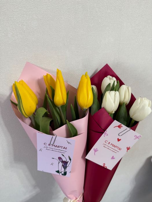 Продаю тюльпаныы