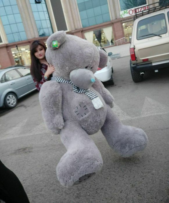 Teddy teddi va panda