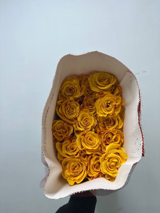 Пышные розы оптом по 37.000 сум