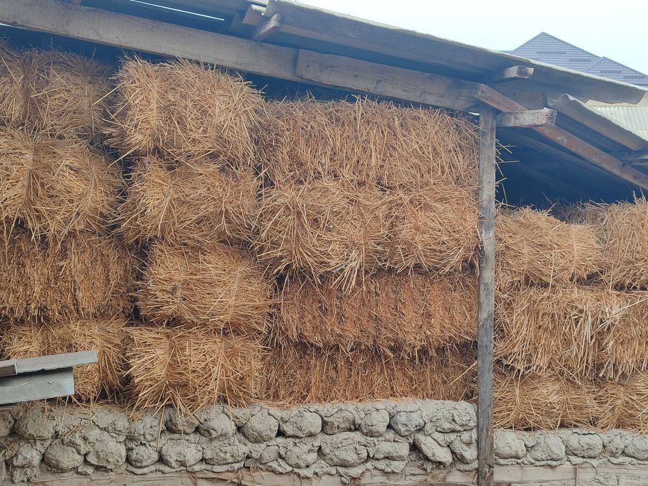 Chorva mol qoy uchun somon pres bor.