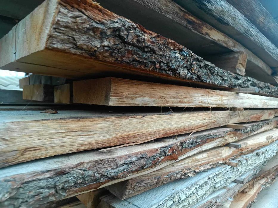 Cherestea Gorun (S, L)