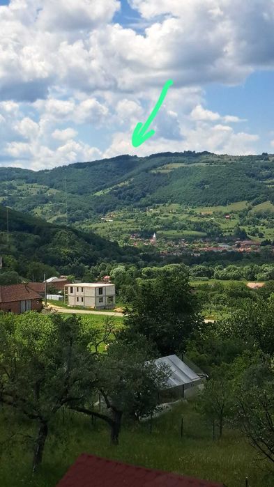 Teren Premium Intravilan Șuncuiuș (Pojorâta) - Ideal Glamping / Cabane. Panoramic, Pădure, Utilități
