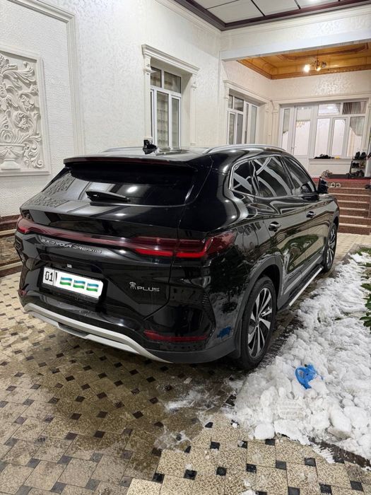 Byd chimpiyon 2024-yil