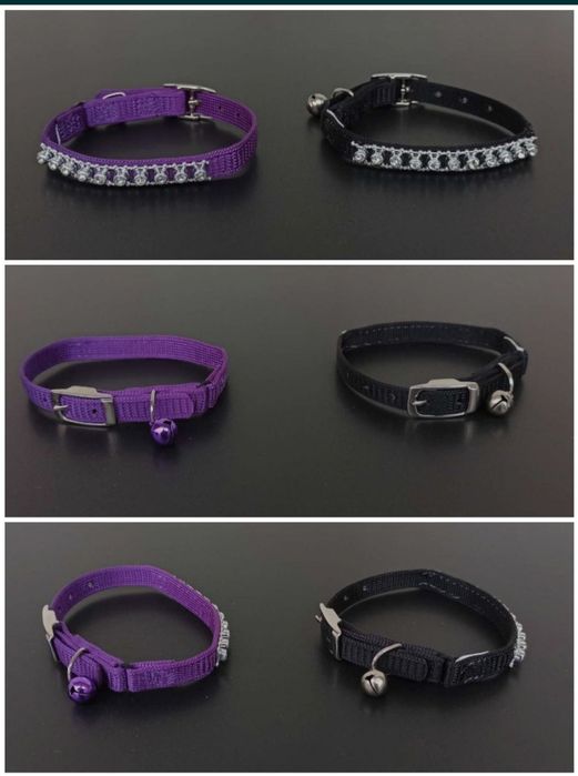 zgarda caine catel pisica pisic ham lesa la plimbare