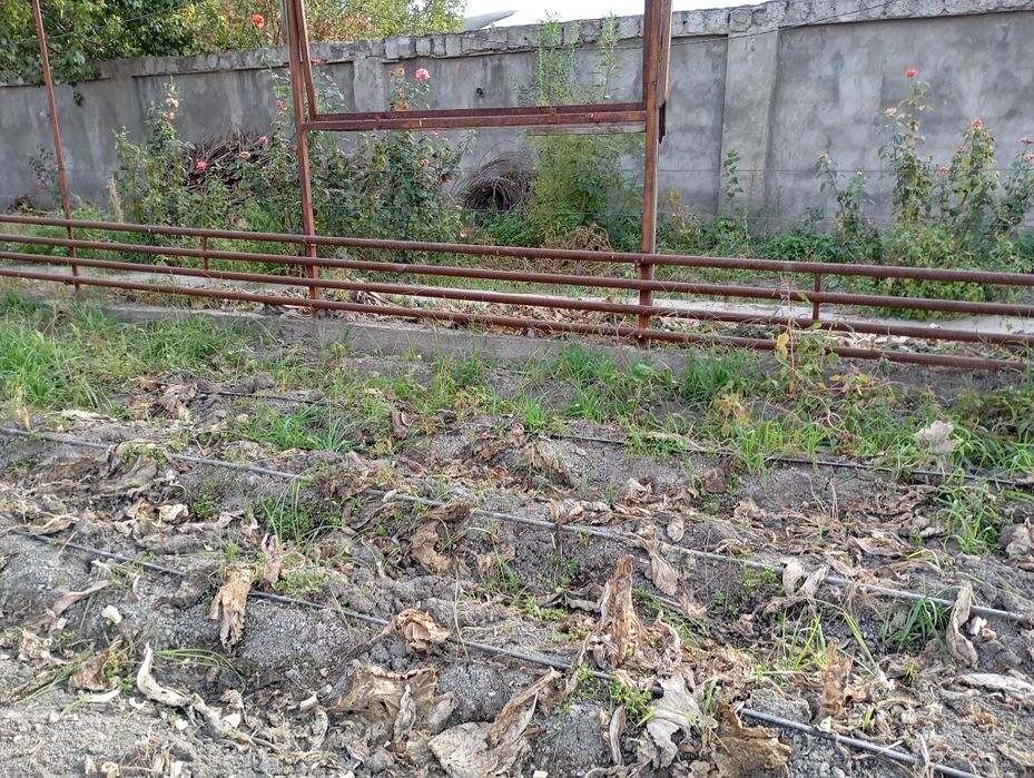 Teplitsa sotiladi rossiyskiy ugolnidan