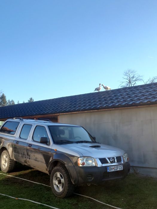 nissan navara