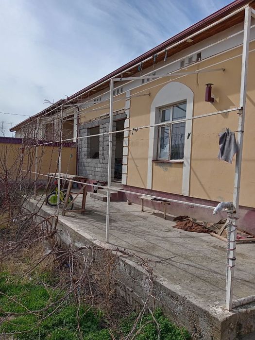 Katej srochno sotiladi