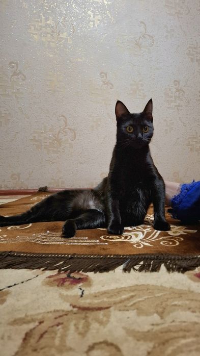 Хадияга,  яхши колларга