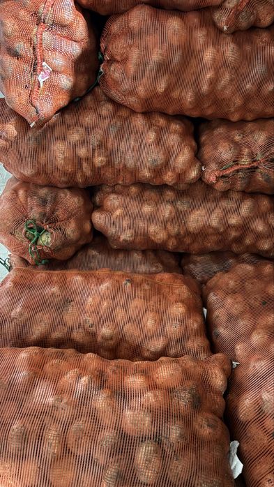 Картофель товарный