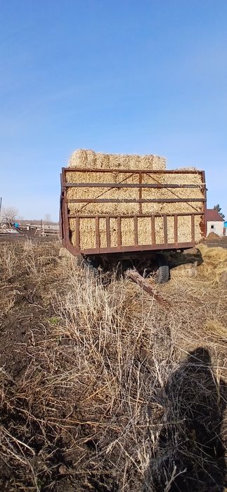 Продам можару 600к торг