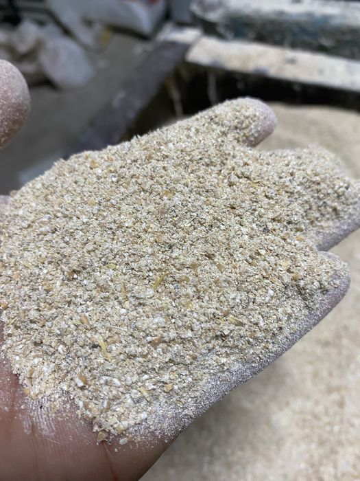 арпа, бидай, Ячмень, пшеница