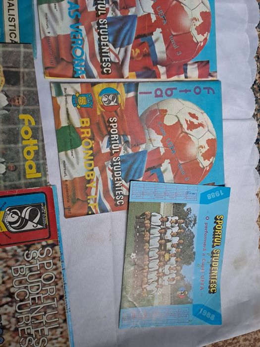 Sportul Studențesc