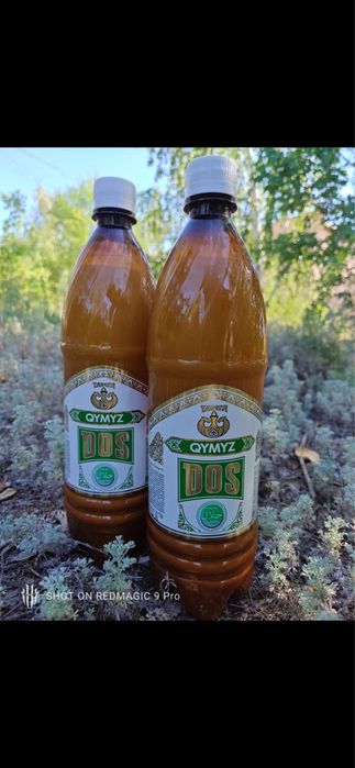 Кымыз сатылады, кала бойынша