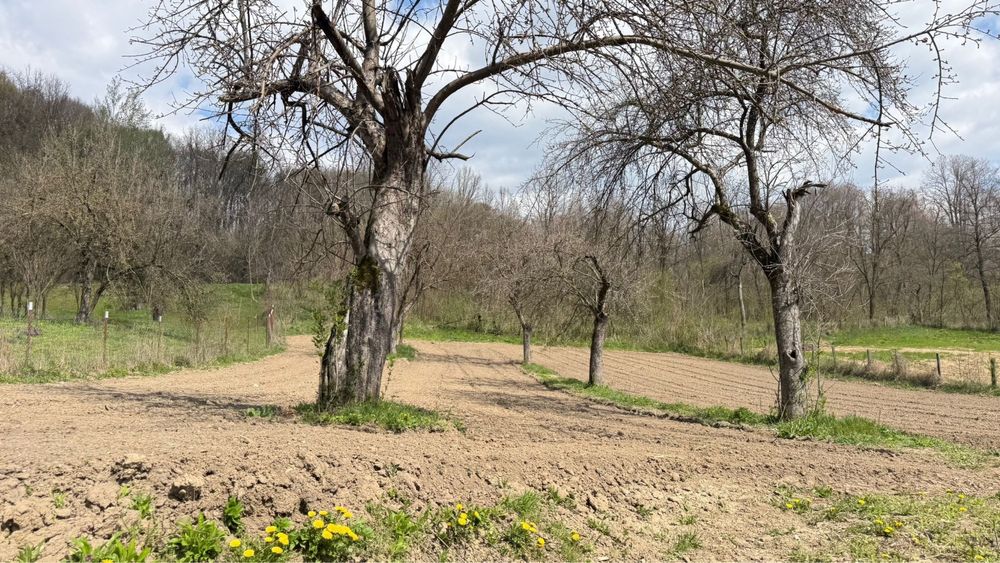 Conac tradițional / Casă de vacanță în Măldărești (Horezu) | 3500mp teren | Ideal Investiție