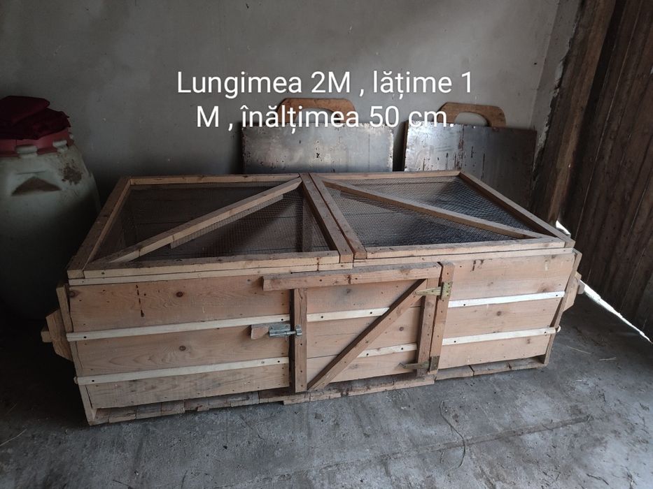 Maternitate pui, și cocoși la 3 luni (50-60) bucata