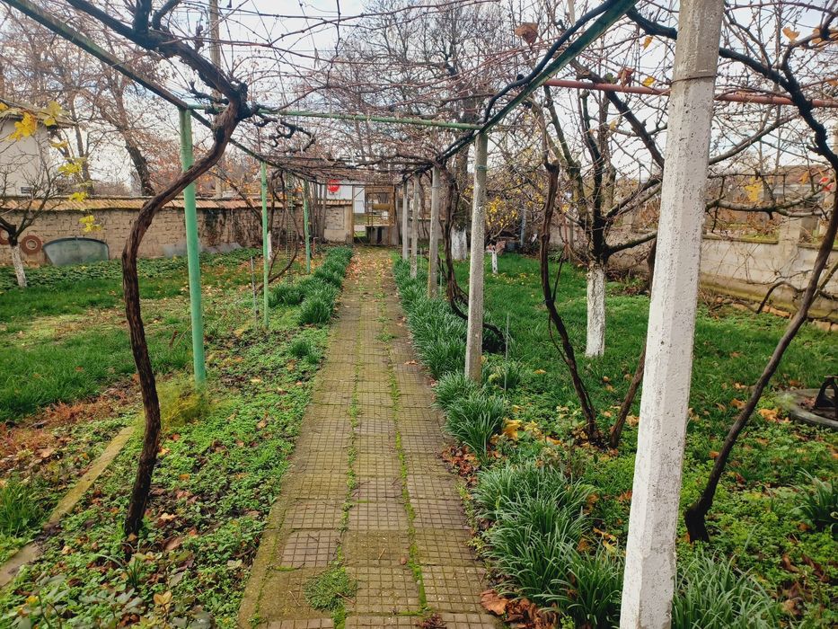 Къща в град Плиска