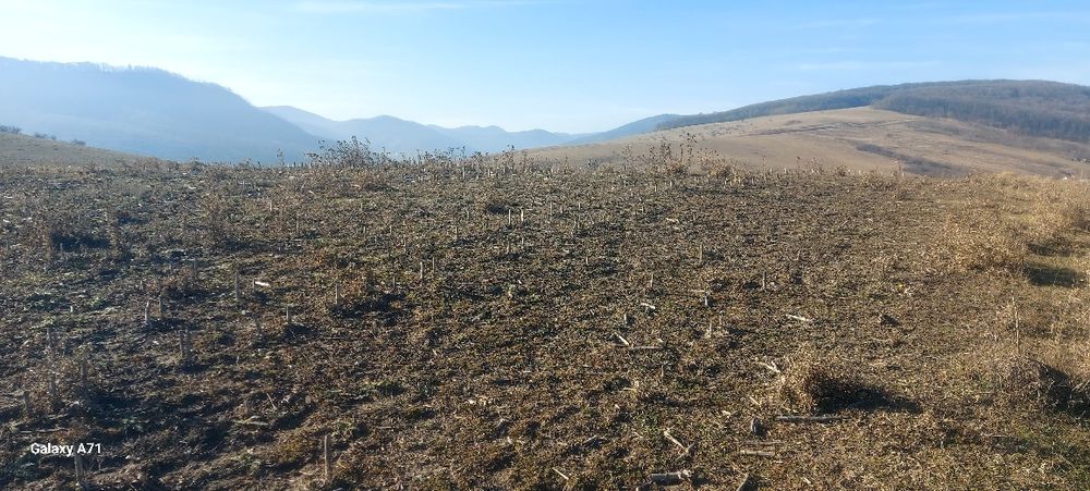 Teren în oraș, zonă în plină dezvoltare