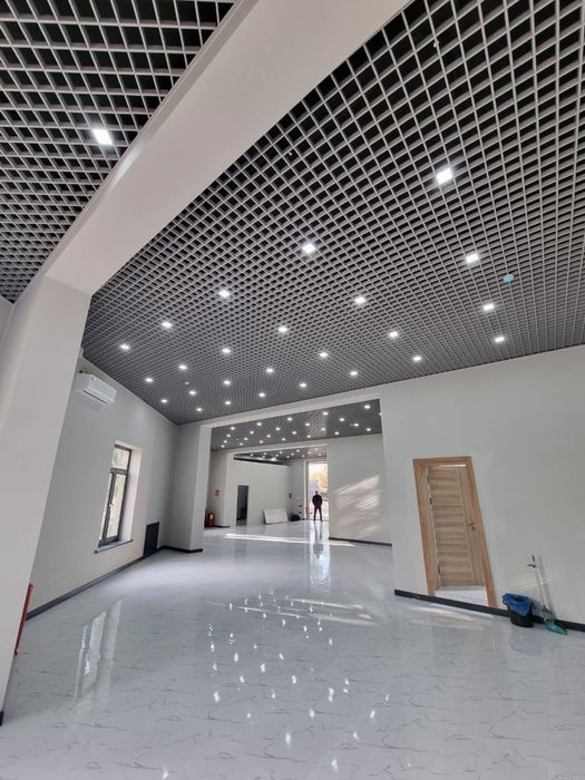 Grilyato Reychniy  rechniy armstrong подвесные потолки