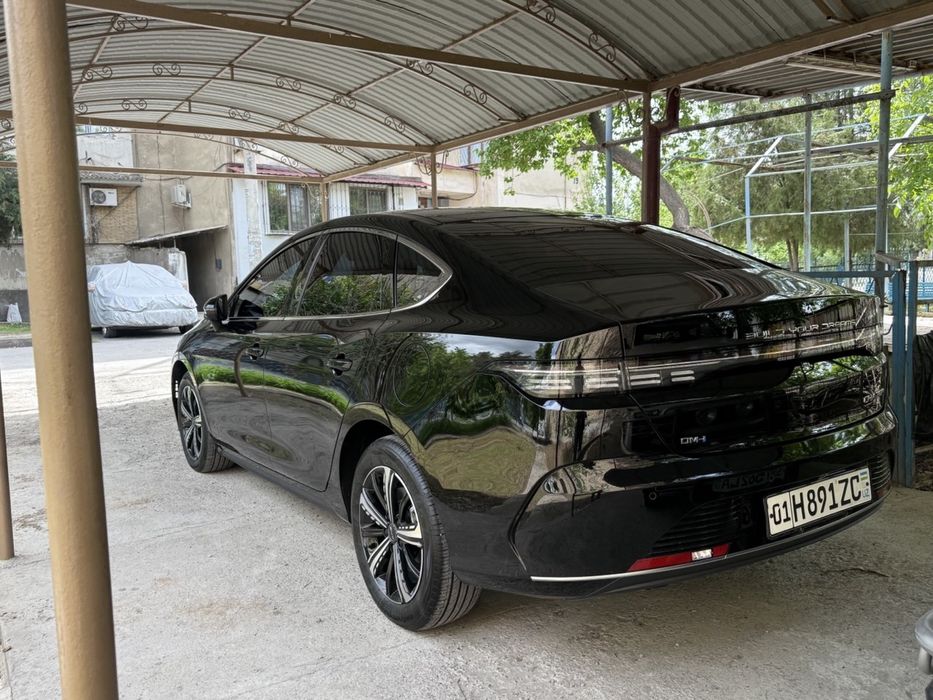 BYD Chazor Flagship 120KM
