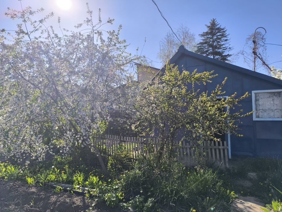 Продам дачный участок