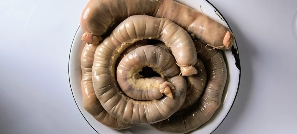 Қартадан жасалған  қазы-карта