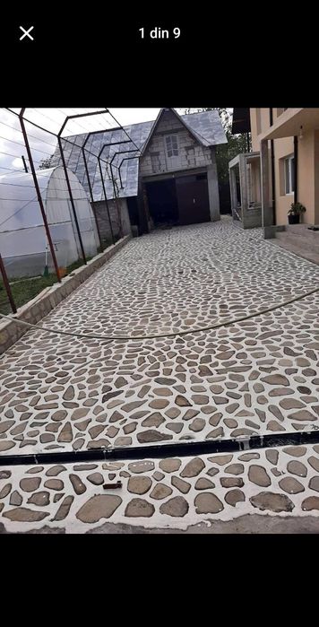 Piatră naturală de munte și plante ornamentale