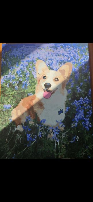 Tablou pictat pe numere - Corgi (40x50cm)