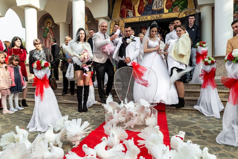 Închiriere porumbei albi pentru nunti, botezuri și alte evenimente,