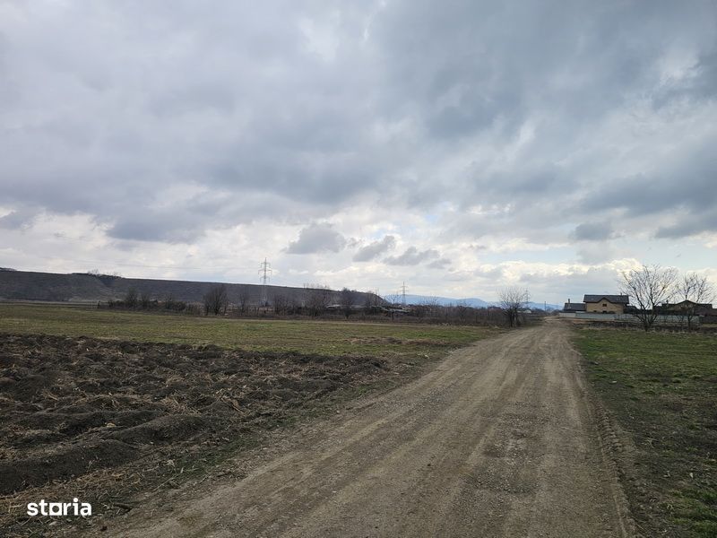 Oportunitate investitie – Teren intravilan in Bacau