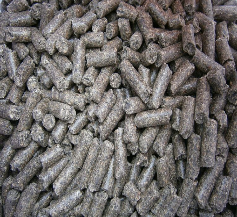 Srot floarea soarelui